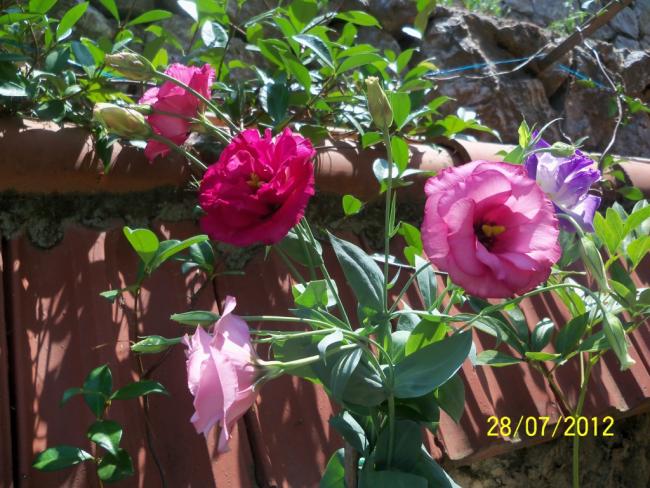 Name:  100_9653.jpg
Views: 344
Size:  66.6 KB