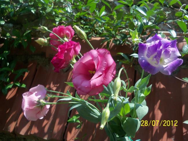Name:  100_9658.jpg
Views: 352
Size:  58.7 KB