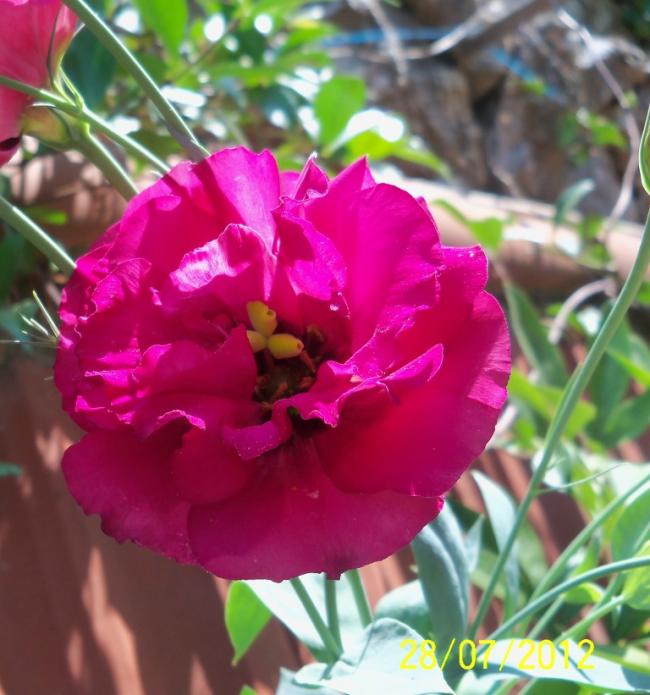 Name:  100_9655.jpg
Views: 351
Size:  57.9 KB