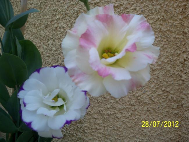 Name:  100_9639.jpg
Views: 341
Size:  44.5 KB