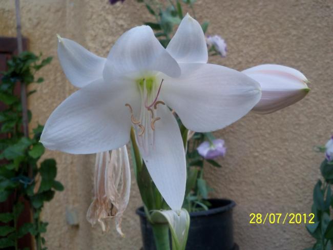 Name:  100_9756.jpg
Views: 322
Size:  33.5 KB