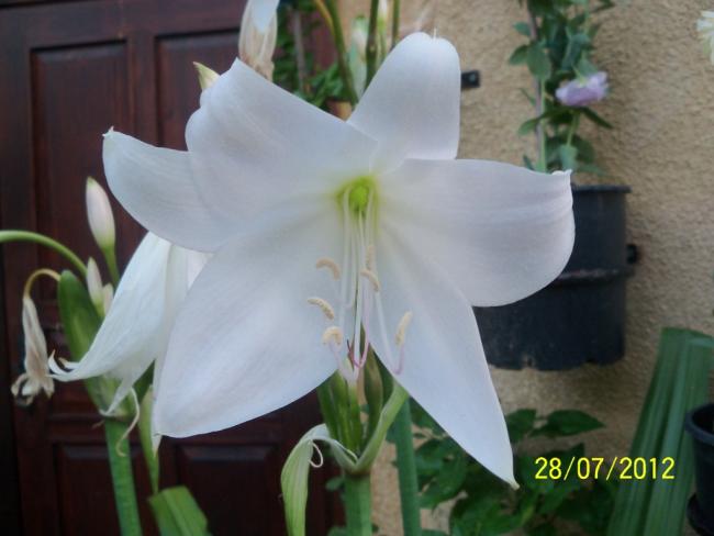 Name:  100_9750.jpg
Views: 327
Size:  33.0 KB