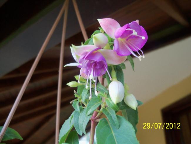 Name:  100_9859.jpg
Views: 320
Size:  32.0 KB