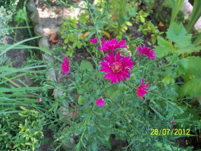Name:  100_9710.jpg
Views: 449
Size:  64.3 KB
