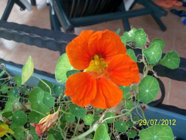 Name:  100_9917.jpg
Views: 411
Size:  46.7 KB