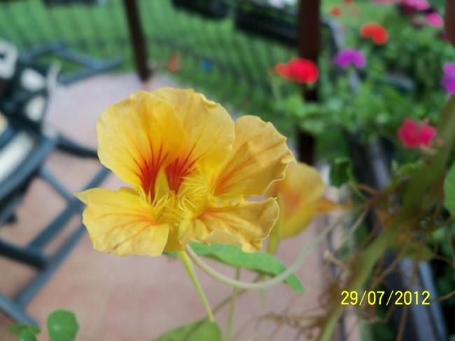 Name:  100_9910.jpg
Views: 454
Size:  31.8 KB