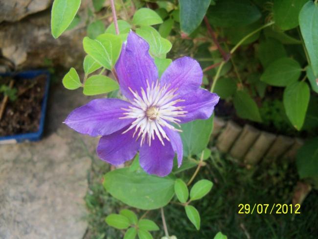 Name:  100_9789.jpg
Views: 433
Size:  40.0 KB
