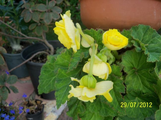 Name:  100_9823.jpg
Views: 479
Size:  41.9 KB