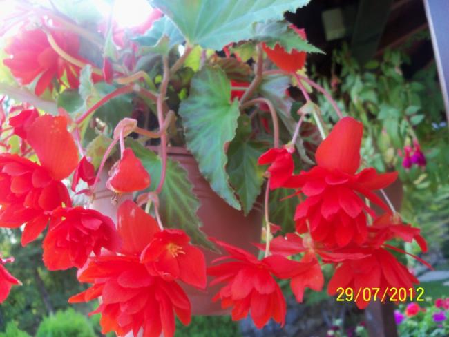 Name:  100_9869.jpg
Views: 430
Size:  45.6 KB