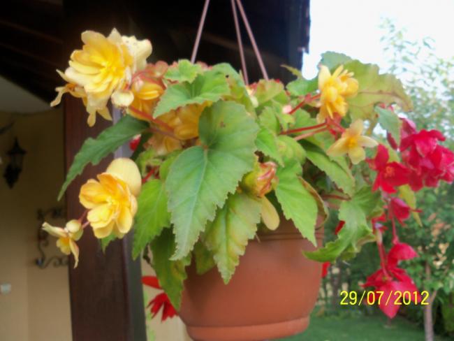 Name:  100_9871.jpg
Views: 430
Size:  38.6 KB