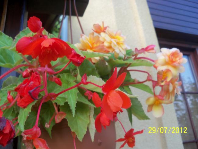 Name:  100_9856.jpg
Views: 443
Size:  39.7 KB