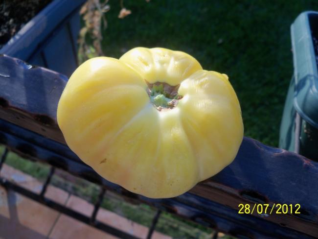 Name:  100_9745.jpg
Views: 408
Size:  31.3 KB