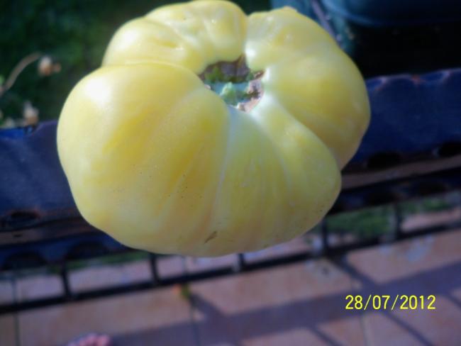 Name:  100_9747.jpg
Views: 414
Size:  23.8 KB