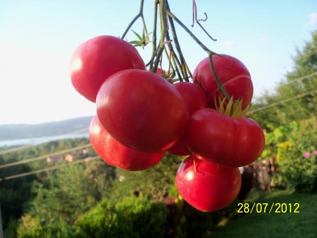 Name:  100_9720.jpg
Views: 415
Size:  35.2 KB