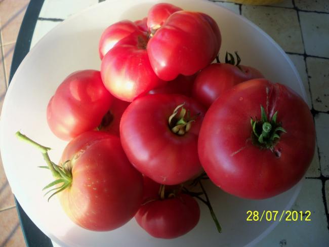 Name:  100_9726.jpg
Views: 402
Size:  31.2 KB