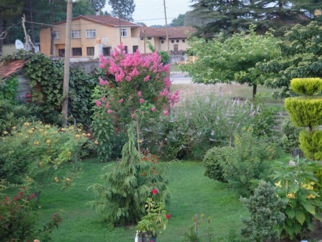Name:  009.jpg
Views: 738
Size:  67.0 KB