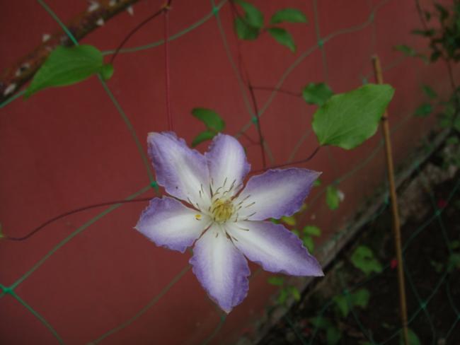 Name:  028.jpg
Views: 694
Size:  22.6 KB