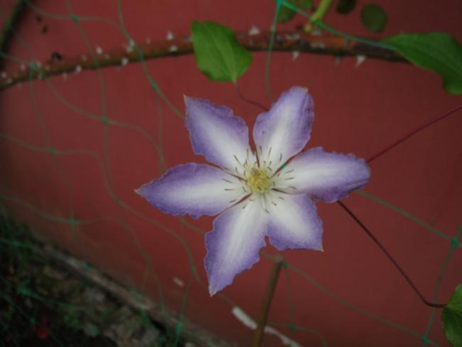 Name:  033.jpg
Views: 703
Size:  21.3 KB