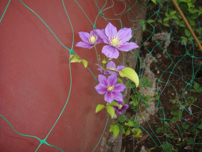Name:  032.jpg
Views: 654
Size:  43.2 KB
