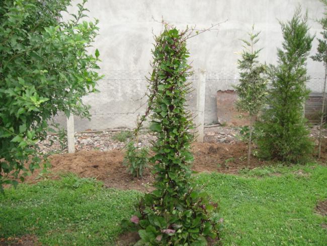 Name:  090.jpg
Views: 720
Size:  68.9 KB