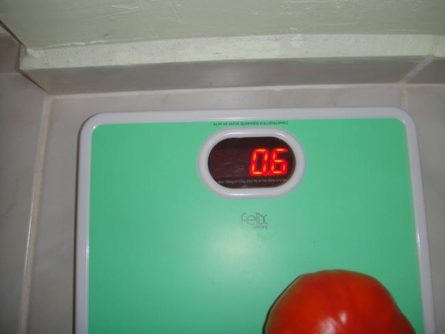 Name:  084.jpg
Views: 642
Size:  19.5 KB