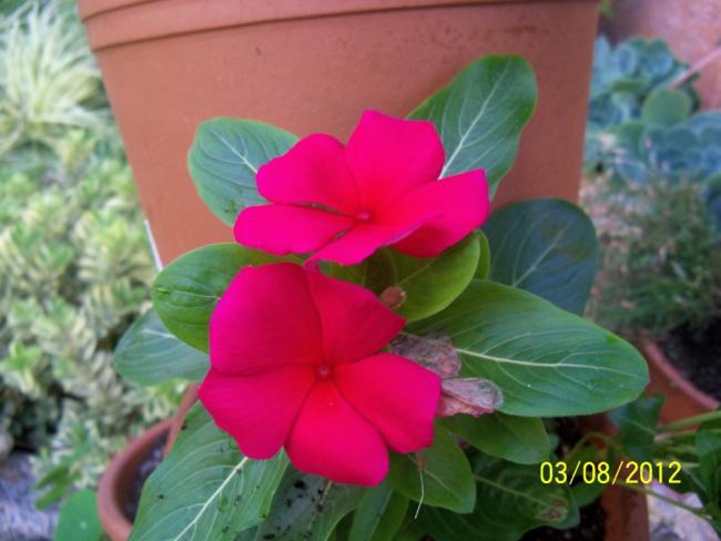 Name:  101_0070.jpg
Views: 672
Size:  37.0 KB