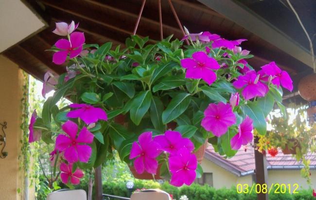 Name:  101_0038.jpg
Views: 798
Size:  47.6 KB