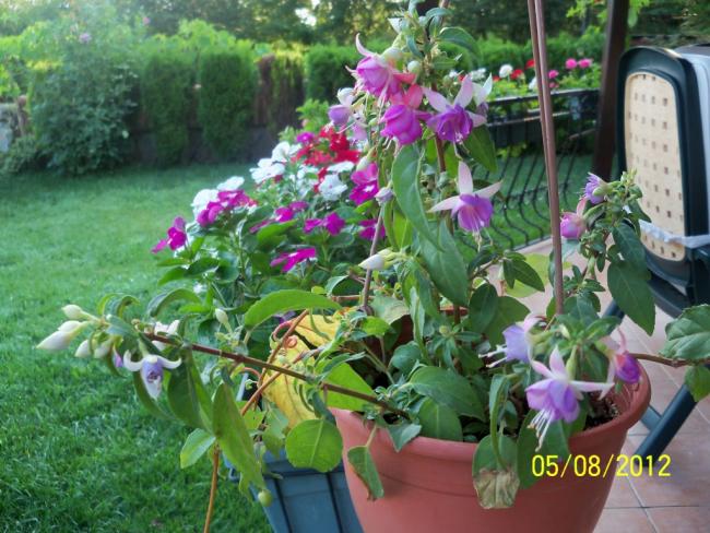 Name:  101_0249.jpg
Views: 705
Size:  65.3 KB