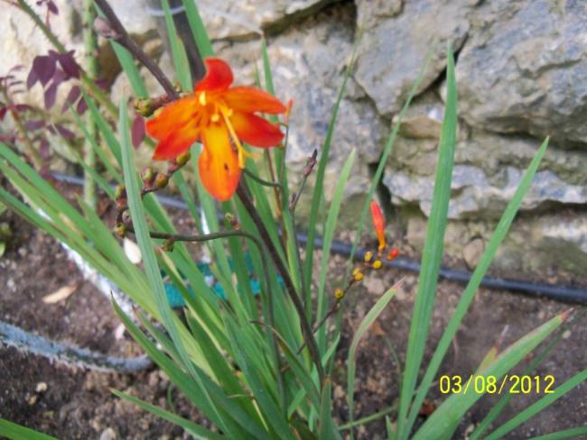 Name:  101_0006.jpg
Views: 899
Size:  53.2 KB