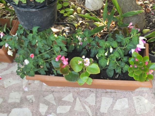 Name:  DSCF4473.jpg
Views: 454
Size:  58.9 KB