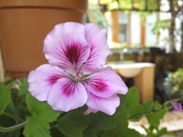 Name:  DSCF4476.jpg
Views: 533
Size:  64.7 KB