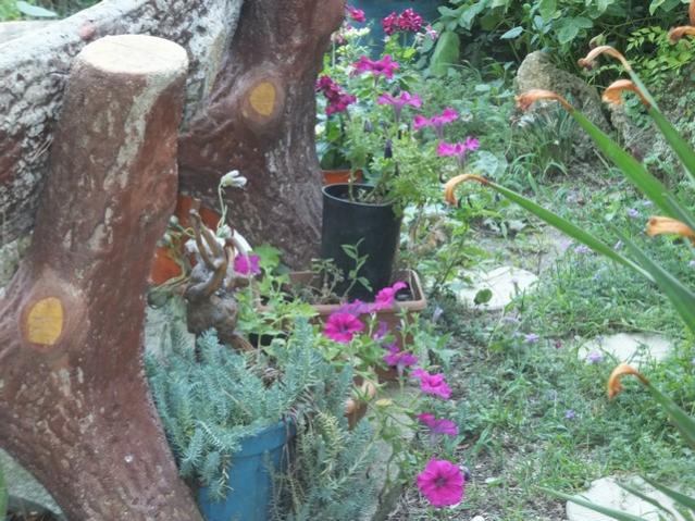 Name:  DSCF4648.jpg
Views: 433
Size:  69.4 KB