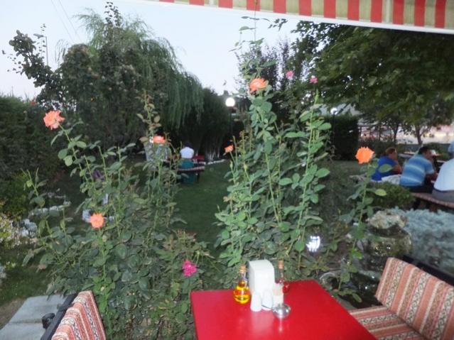 Name:  DSCF4657.jpg
Views: 738
Size:  59.5 KB