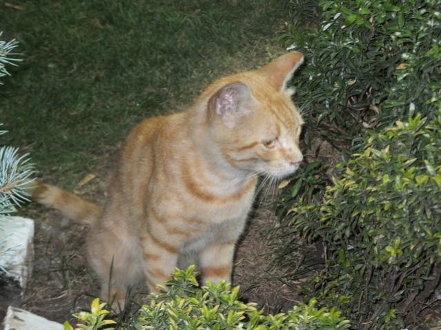 Name:  DSCF4668.jpg
Views: 468
Size:  57.2 KB