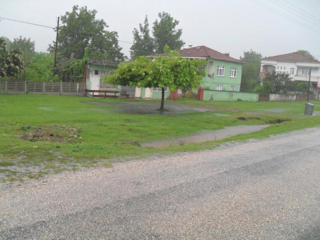 Name:  017-001.jpg
Views: 628
Size:  50.5 KB