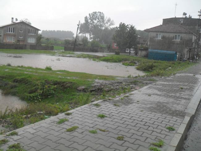 Name:  015.jpg
Views: 586
Size:  45.1 KB