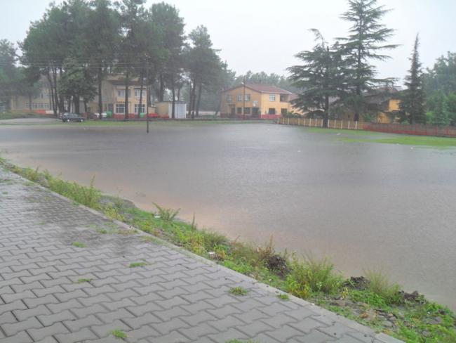 Name:  011.jpg
Views: 587
Size:  39.9 KB