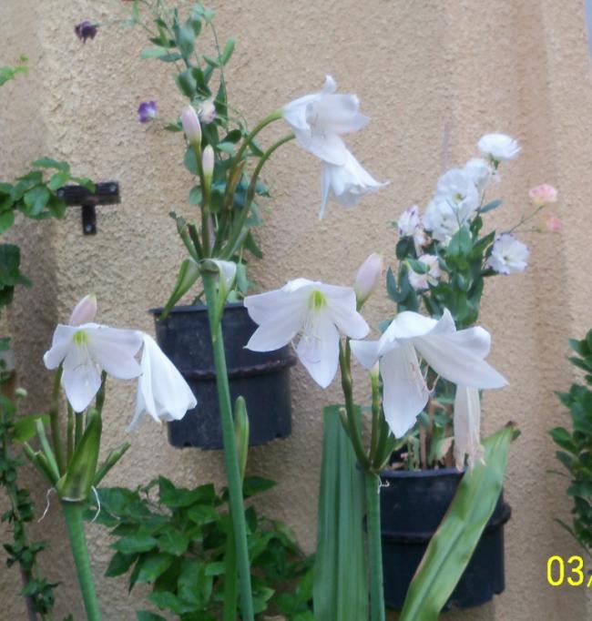 Name:  100_9967.jpg
Views: 658
Size:  61.8 KB