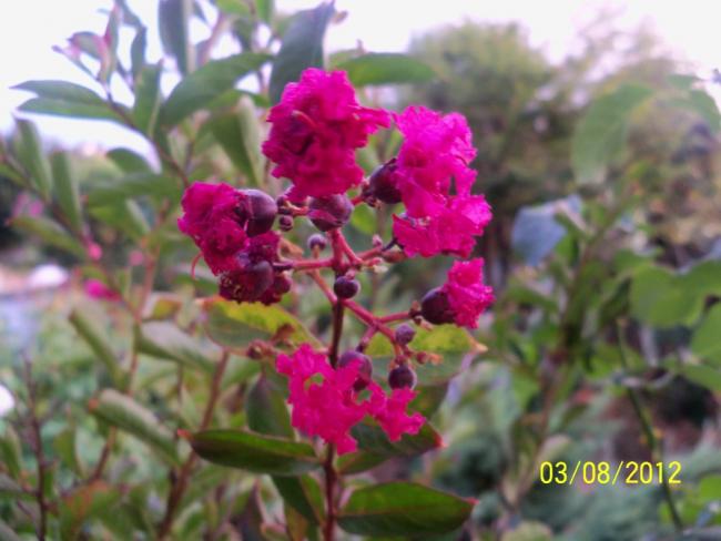 Name:  101_0046.jpg
Views: 1186
Size:  40.9 KB