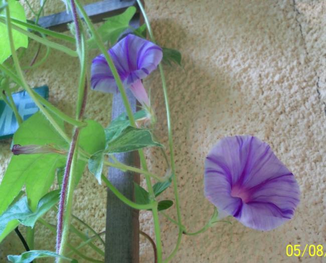 Name:  101_0265.jpg
Views: 646
Size:  49.8 KB