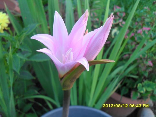 Name:  149.jpg
Views: 1370
Size:  35.6 KB