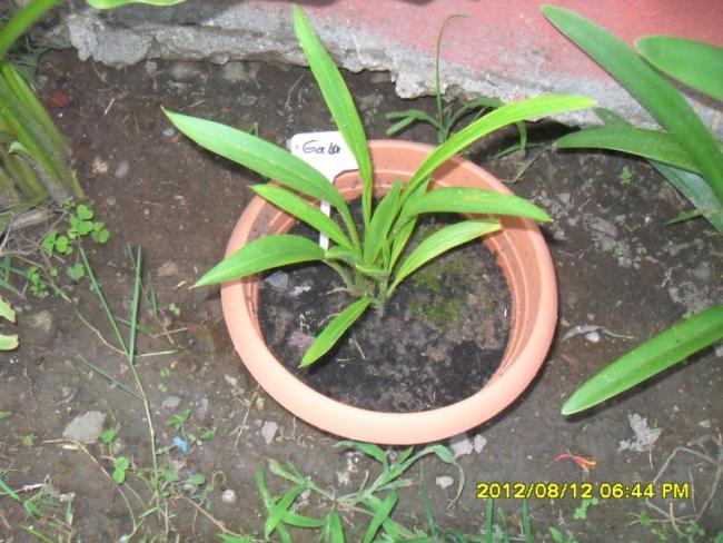 Name:  150.jpg
Views: 1347
Size:  60.3 KB
