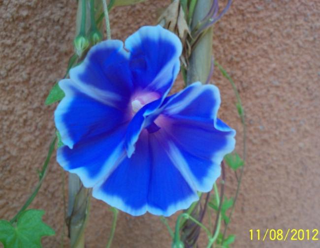 Name:  101_0379.jpg
Views: 591
Size:  38.4 KB