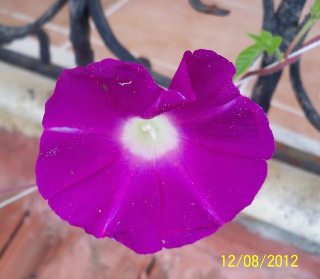 Name:  101_0473.jpg
Views: 593
Size:  32.9 KB