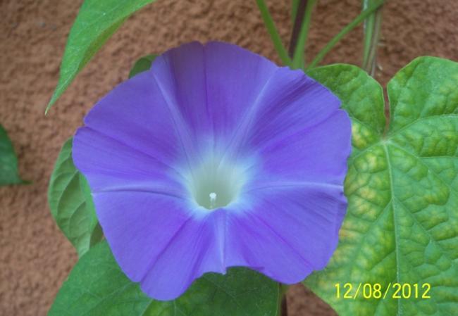 Name:  101_0540.jpg
Views: 614
Size:  32.3 KB