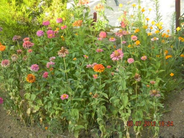 Name:  DSCN2363.jpg
Views: 705
Size:  71.4 KB