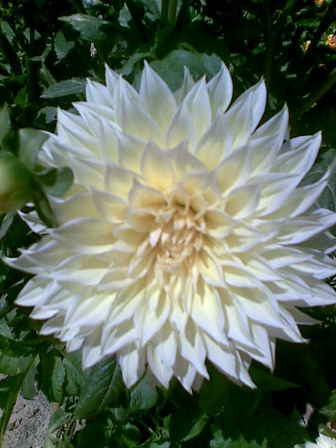 Name:  Grnt070.jpg
Views: 995
Size:  64.6 KB