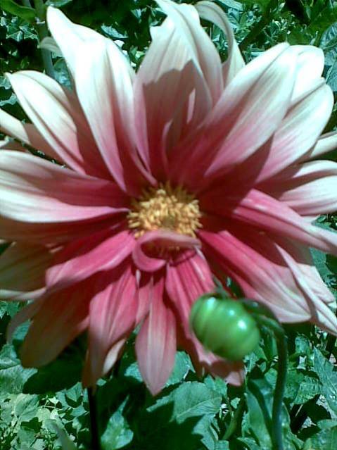 Name:  Grnt080.jpg
Views: 1035
Size:  51.7 KB