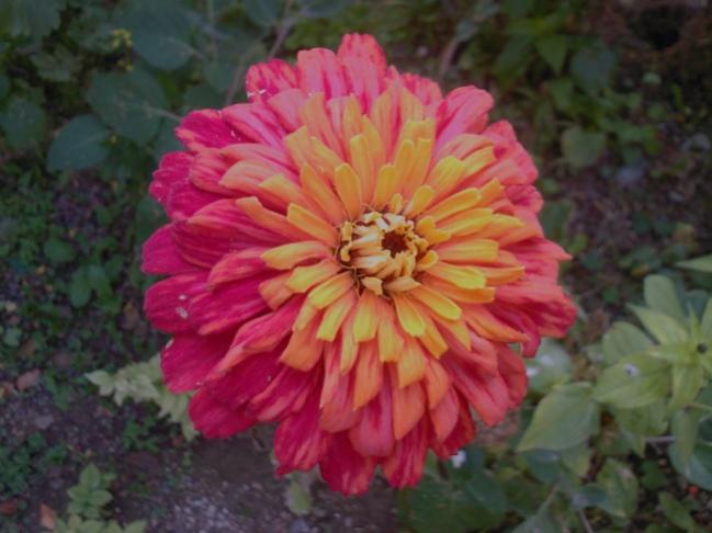 Name:  SP_A0120.jpg
Views: 802
Size:  39.9 KB