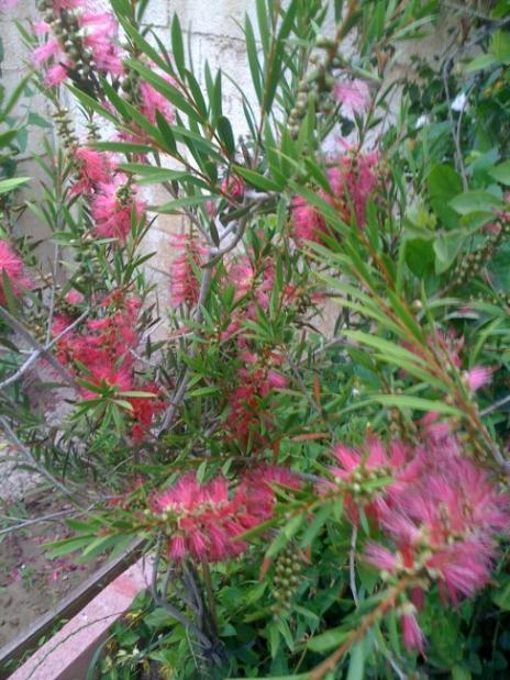 Name:  Resim 027.jpg
Views: 852
Size:  64.7 KB